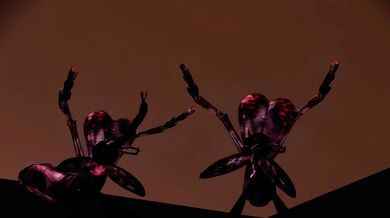 [o-dio] INSECT SEX sakumei 
=> Oedipus Insect Sex Arousal=> Oedipus Insect Sex Arousal
