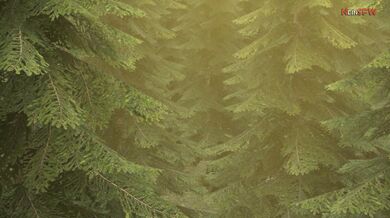 Triss and Geralt Get Down and Dirty in a Wet and Wild Netorare Threesome