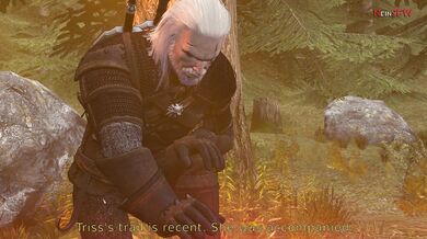 Triss and Geralt Get Down and Dirty in a Wet and Wild Netorare Threesome
