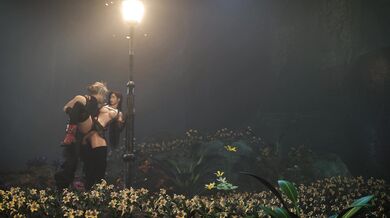 Tifa and Cloud's Forbidden Love