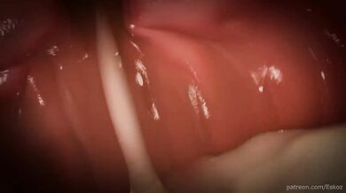 Giantess Love Story (Futa x Herm, POV) - Diminishment Part II