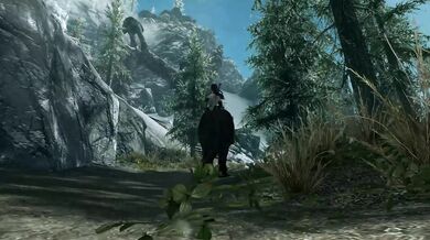 Aurora's Awakening: The Rise of an Ancient Seductress, Chapter One