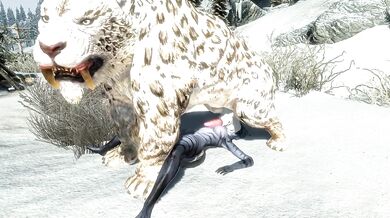The Bestiality of the Khajiit - Unleashing the Beast Within