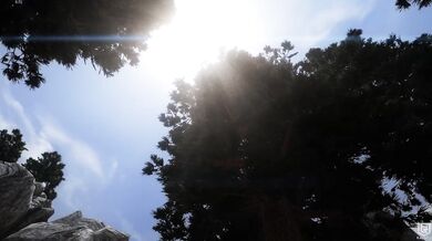 Psychotic Skeever Obsession: A Hundred Shades of Lust