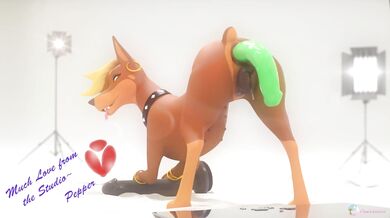 Pinklagoon's Ass Destroyed by Dog Dildo Invasion