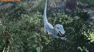 Hot Beasts Rutting in the Sultry Sun