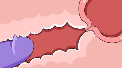 Futanari Invasion: The Midnight Futa [Renegade]