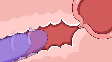 Futanari Invasion: The Midnight Futa [Renegade]