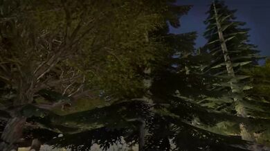 Minerva Mink: The Aledor Experience