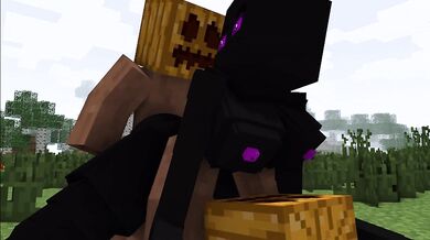 HMV's Minecraft GIF & Galeo Porn