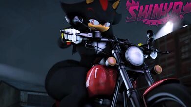Shadow's Wild Motorcycle Ride