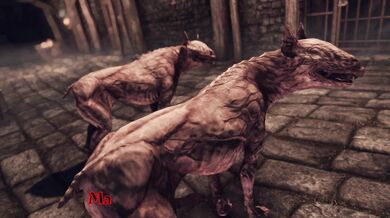 Alasha's Secret Sex Rituals in 'The Cult': A Skyrim4Ever Exclusive Sneak Peek