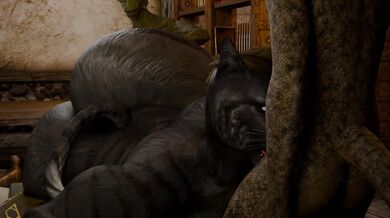 Hentai-Riding Khajiits: Double Team Ride!