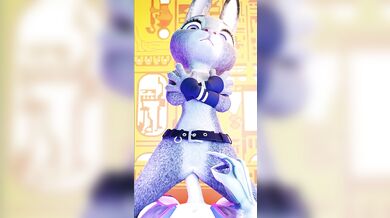 Watch as these bunnies get it on in the most erotic way possible! 'The Bunny Zone [Animated]'