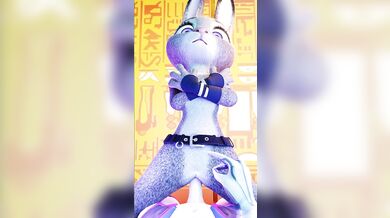 Watch as these bunnies get it on in the most erotic way possible! 'The Bunny Zone [Animated]'