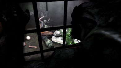 Anna's Doggy Style Ride on the Metro