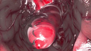 Frosty the Snowman's 10 Inch Penis Virtual Reality Blowjob Adventure!