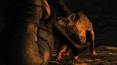 Jugged Khajiit Cunt Overstuffed with Beastiality