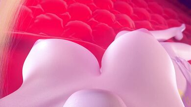 A Princess' Wet Dreams: Cadence's Hardcore Temptation