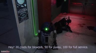Sith Seduction: The Anianiboy Chronicles