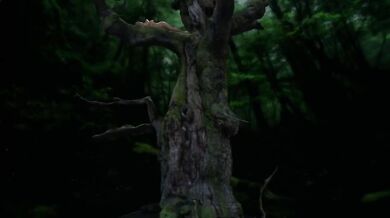 The Titanoboa Fucks a Sleeping Girl