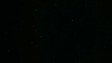 The Titanoboa Fucks a Sleeping Girl