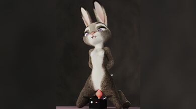 Adam and Fluffy's Judy's Sex Toy Adventure