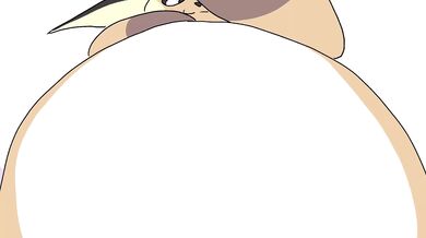 Mimikyu and Raichu Go at It (Loudly)!