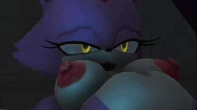 - Assault of the Hedgehog and the Cat: The Ultimate Battle for Power
