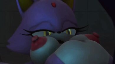 - Assault of the Hedgehog and the Cat: The Ultimate Battle for Power
