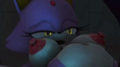 - Assault of the Hedgehog and the Cat: The Ultimate Battle for Power