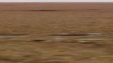 Horny Harpy Haruka - SquirmSquirm (R18+)