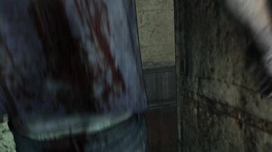 Ada's Wet and Wild Adventure - sluttyasianbitch