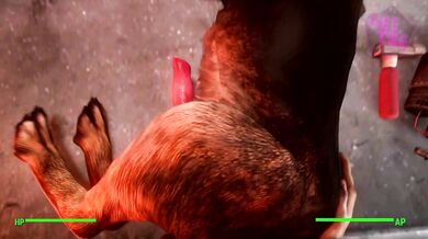 Dogmeat Fucked - GeeTee