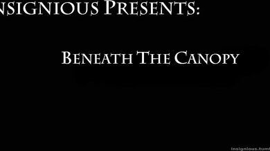 Insignificant Underneath The Canopy
