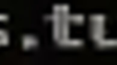 Insignificant Underneath The Canopy