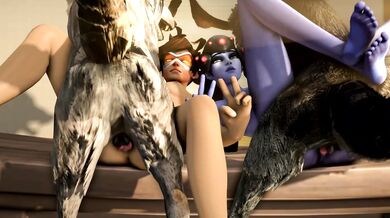 Fucking like Heroes: Tracer and Widowmaker's Hardcore Blueberg Action