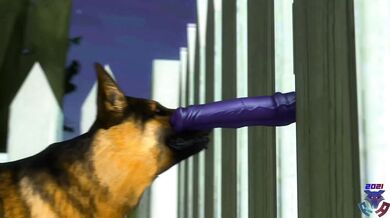 Golden Retriever Blowjob Behind Chain Link Fence