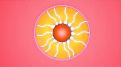 Episode IX: Rey's Submission to the Dark Side