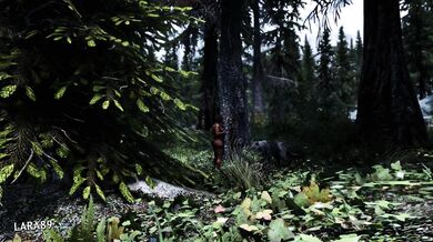 - Forest Gangbang with Cute Little Red Riding Hood