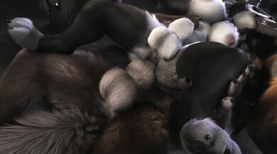 [4K] Intersex Loona's Werewolf Pack Orgy (Alternate Version)