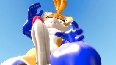 The Sonic Boom of Tail Sexuality