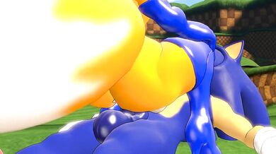 The Sonic Boom of Tail Sexuality