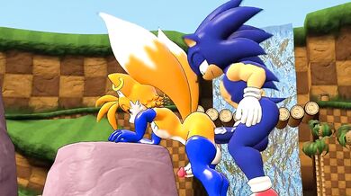 The Sonic Boom of Tail Sexuality