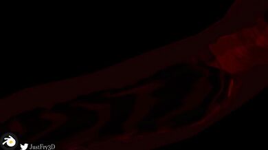 Tentacle Trail - JustFry3D's Cruiser Series Episode 2: A Journey of Sensual Exploration