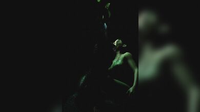 The Sexual Misadventures of a Goblin's Captive