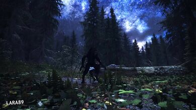 - A Feral Night with a Lycanthrope