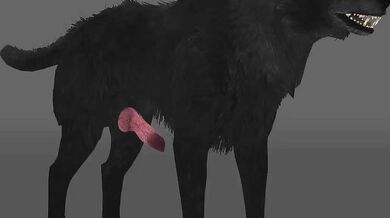 Animated Werewolf Fuckfest