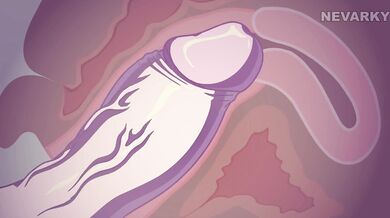 Girl Parts Only: A Female's Point of View