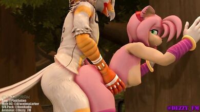 Amy's Explosive Sex with Her Original Character [Male x Female]